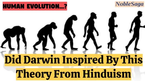 Was Darwin Inspired By This Theory From Hinduism | Human Evolution Theory | Noble Saga