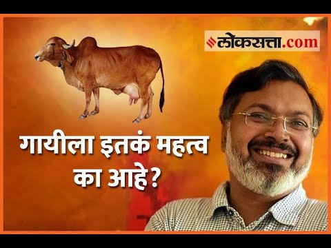 भारतीय संस्कृतीत गायीला इतकं महत्व का? | Why do Hindus worship cows? - Devdutt Pattanaik
