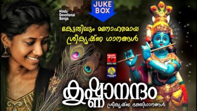 കൃഷ്ണനന്ദo # Hindu Devotional Songs Malayalam 2020 # Sree Krishna Devotional songs Malayalam