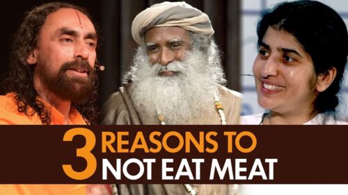 Bhagavad Gita Lessons Why You Should Not Eat Meat | 3 Reasons to Stop eating meat