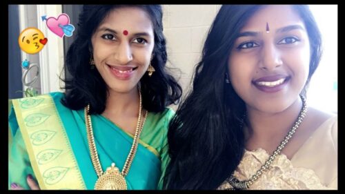 Cousin's Hindu Tamil Wedding Vlog
