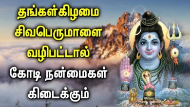 LORD SHIVA WILL SUPPORT ALL YOUR EFFORTS | Lord Shiva Padalgal | Best Tamil Devotional Songs