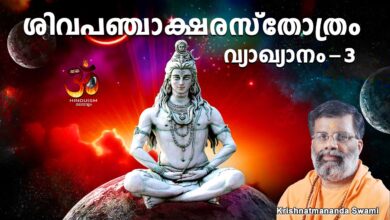 PART- 3 | Siva Panjakshari Stotram in Malayalam | Krishnatmananda Swami | Hinduism മലയാളം