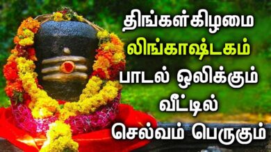 Popular Lingastakam Tamil Songs | Lingastakam Tamil Padalgal | Best Shiva Tamil Devotional Songs