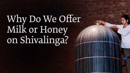 Why Do We Offer Milk or Honey on Shivalinga? | Sadhguru