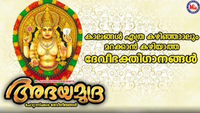 കാലങ്ങൾക്ക് മായ്ക്കാൻ കഴിയാത്ത ദേവീഭക്തിഗാനങ്ങൾ|Devi Devotional Songs|New Devotional Songs Malayalam
