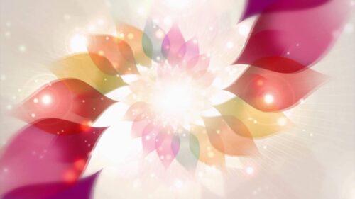 Free Wedding background, Free Hd motion graphics, Download Video Graphics - WED 015