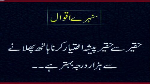 lajwab Urdu/Hindu Love Qoutes |(AmzinG Life Successfully Aqwel e zareen)Golden Words (Nasir Studio)
