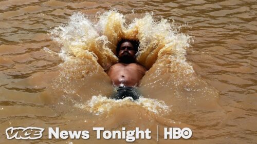 India Wants To Use Flesh Eating Turtles To Rid The Ganges Of Decomposing Bodies (HBO)