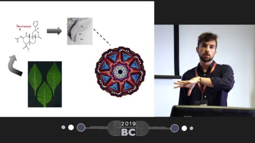 Patrick Smith - Salvia divinorum and "The Wheel": What Can We Learn From This Persistent Phenomenon?