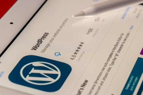 How To Find the Right WordPress Theme
