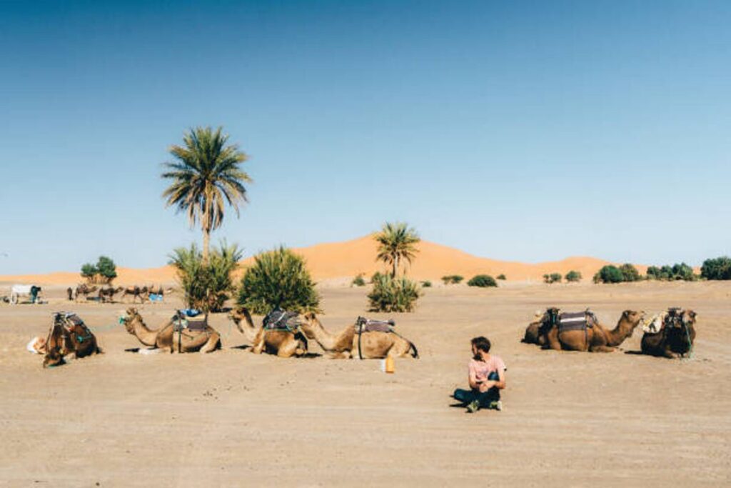 10 best Sites to Visit in The other agents 1 Day trips from casablanca morocco
