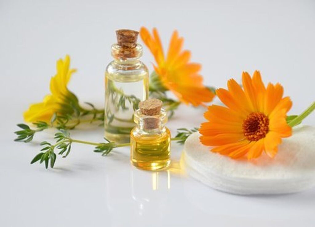 Important Oils For Health Enhancement 1 Liquidizer