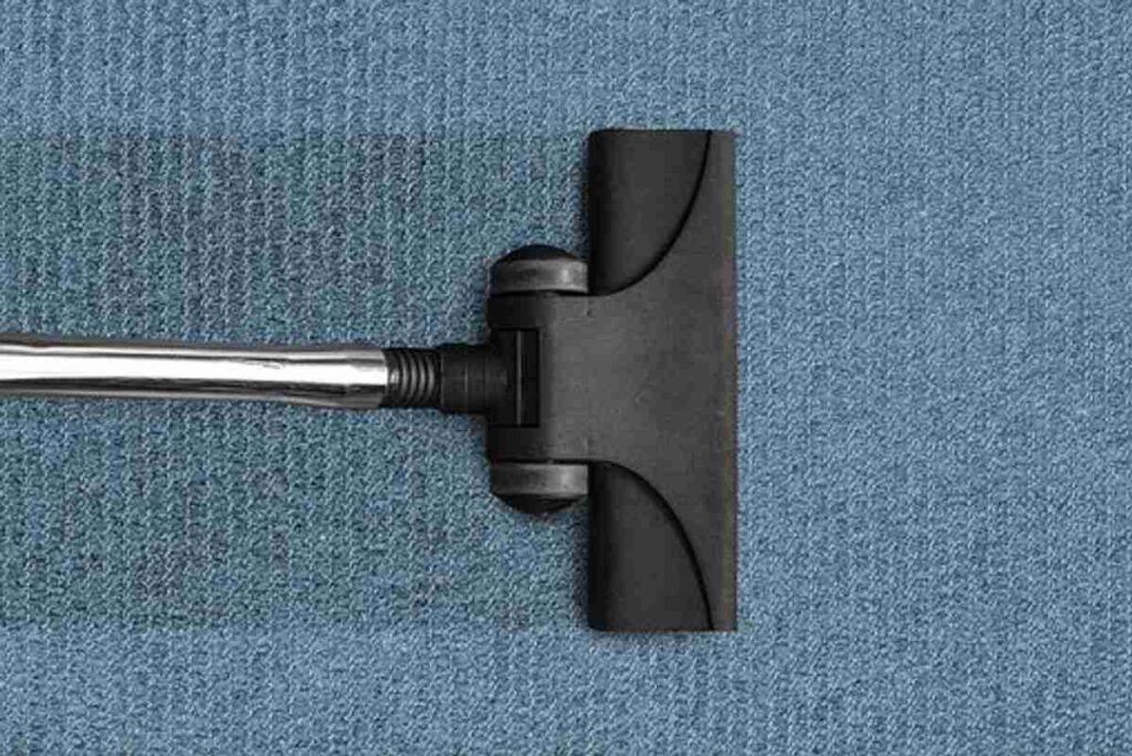 Get more information on Treating Pet Stains in addition to Odors Than Most Area carpet cleaning ny 1 Best Pet Stain and Odor Remover for Carpet Cleaners