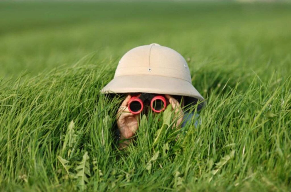 A bad Ways to Use Your Spy Digicam 1 Spy Camera Glasses