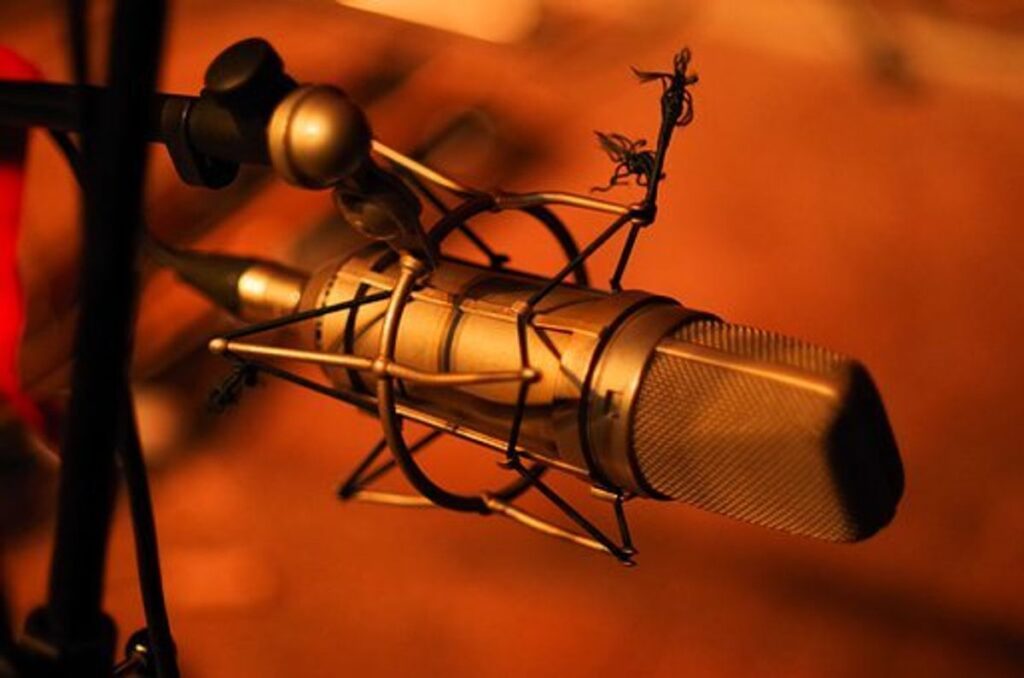 The effectiveness of Personal Digital Voice Recorders 1 spy recording devices