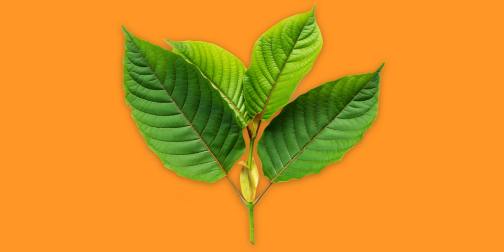 Slo kratom