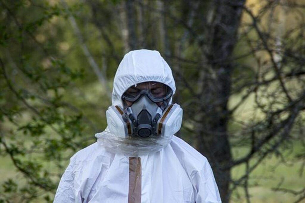 Interesting features of Mold Removal 1 Asbestos removal Mississauga