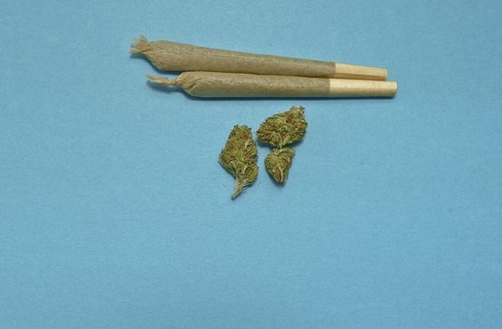 Weed Eaters - What You Should Understand Before Buying a Weed Eater 1 Buy cali weed
