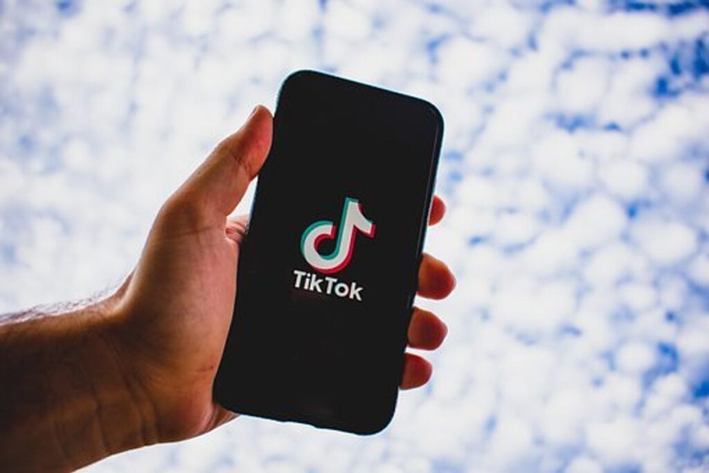 3 Steps to Download Video to Your Phone 1 Download Tiktok Video