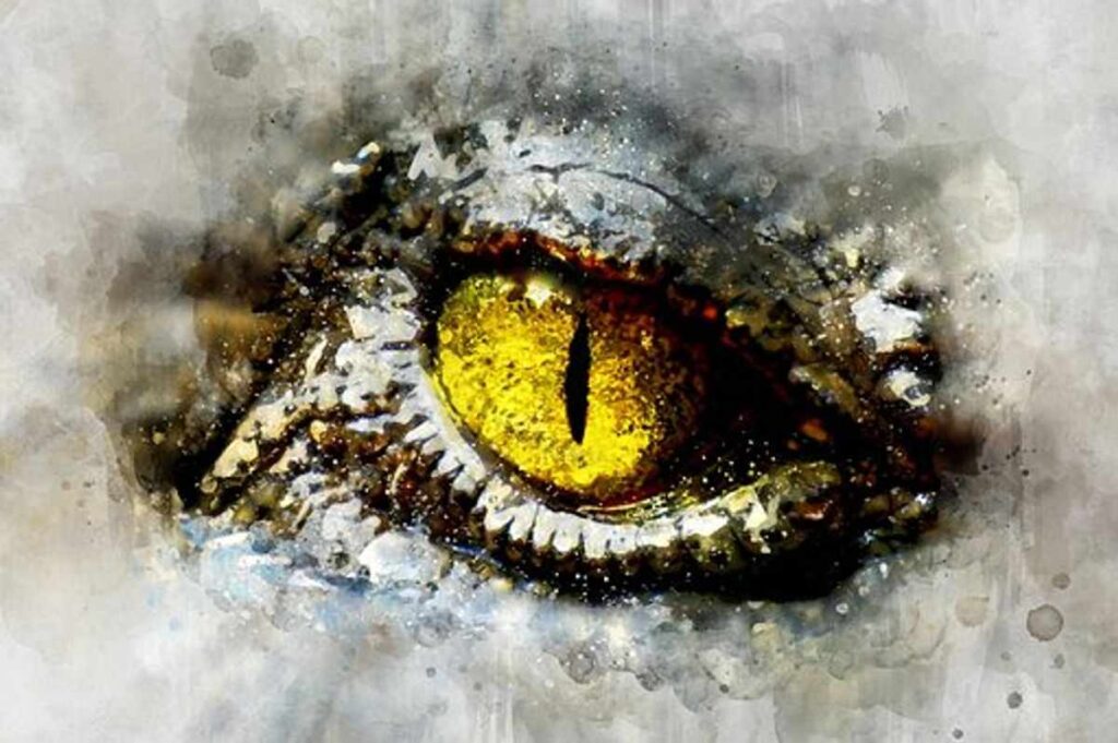 astigmatism colored contacts lenses