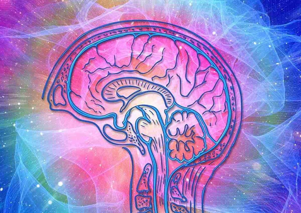 What exactly are Your Brainwaves? 1 What Are Your Brainwaves