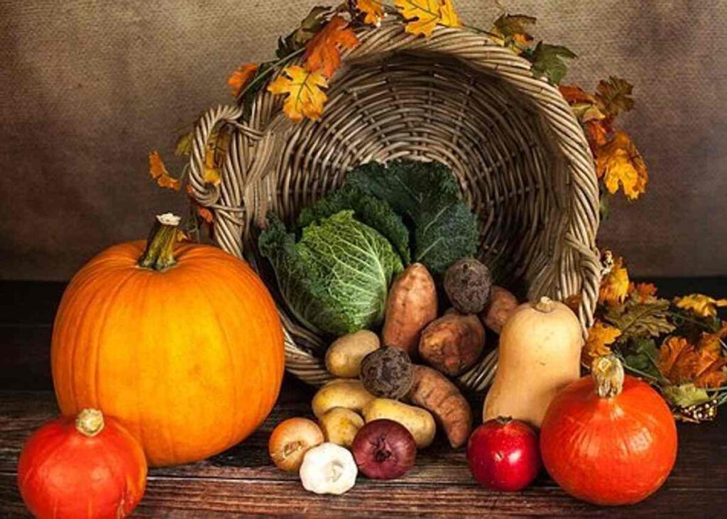 A wholesome Lifestyle Requires a Healthy Property 1 bird nest singapore