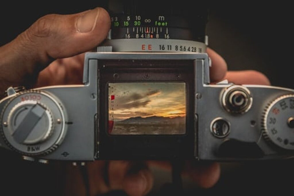 Infrared Wildlife Cameras - Trek Cameras Give a Fascinating Perception Into Wildlife Activity 1 Trail camera Australia