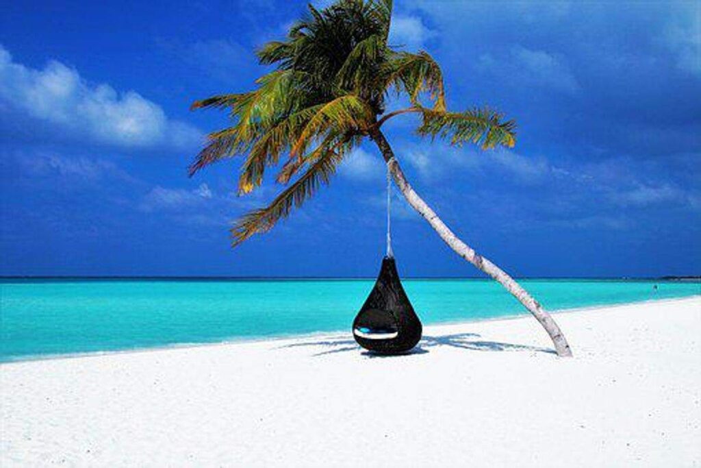 Precisely why Gen X & B Ought to Contemplate Utilizing Journey Brokers 1 Travel Agents
