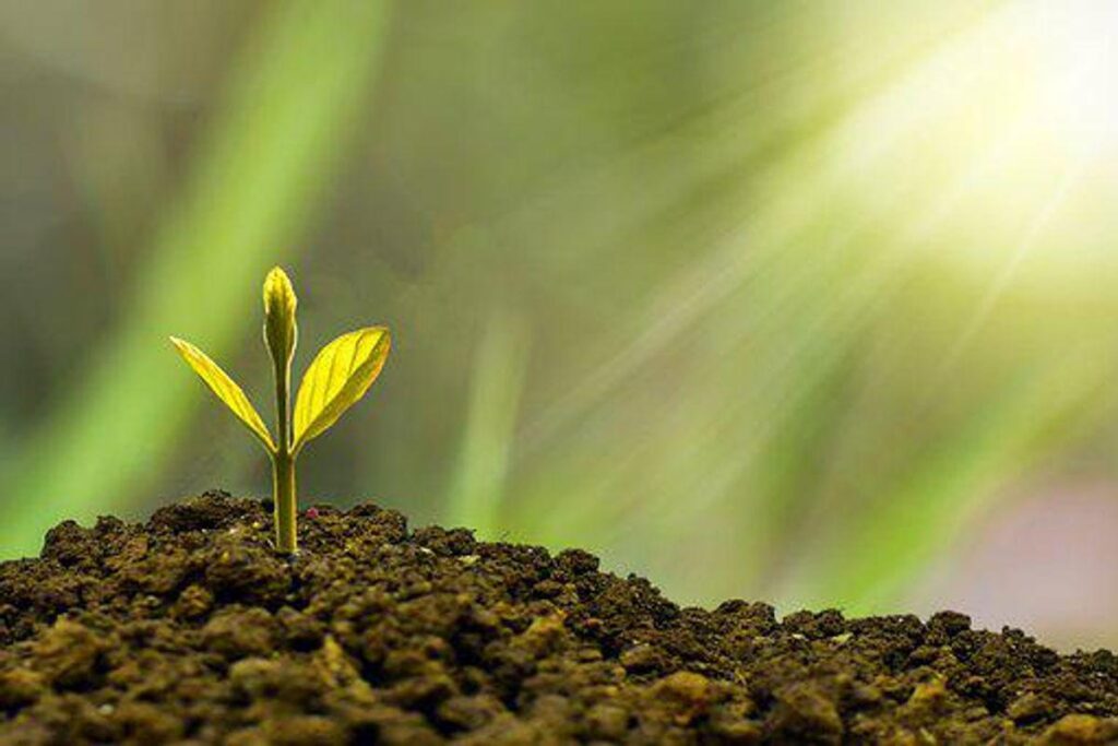 The explanation why Success Appears So Onerous 1 Why Success Seems So Hard