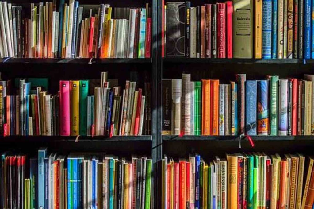 Creating a Book: How Long Kind of effort does it take? 1 Writing a Book