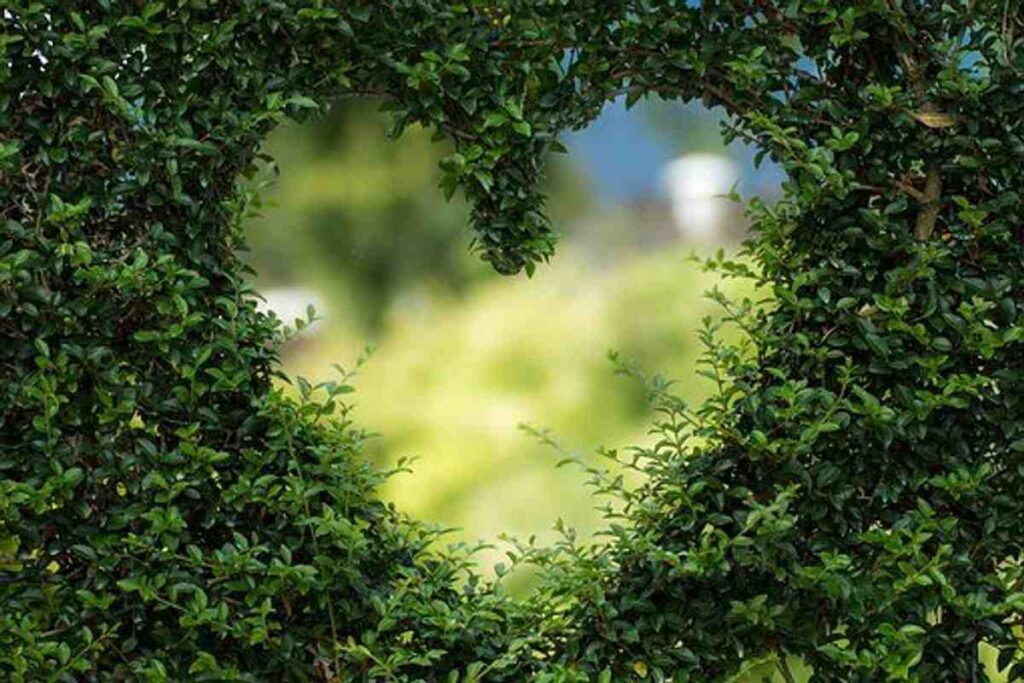 How to Heal a Broken Heart