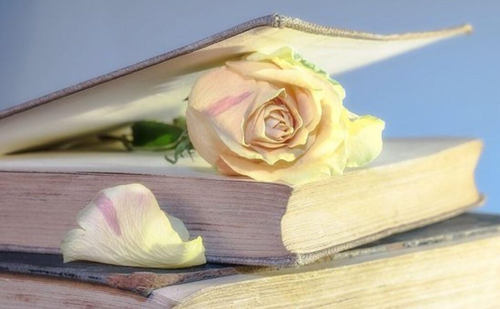 The best way to Write a Book and Get The item Published 1 How to Write a Book