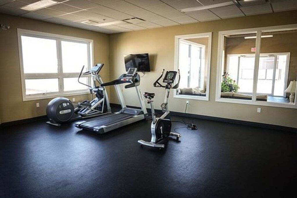 Is the Sole SB700 Bike Proper For You? 1 Horizon 7.0 At Treadmill Review