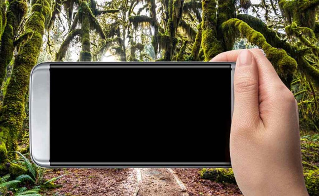 The Best Features of Amazon Mobile 1 amazon mobile