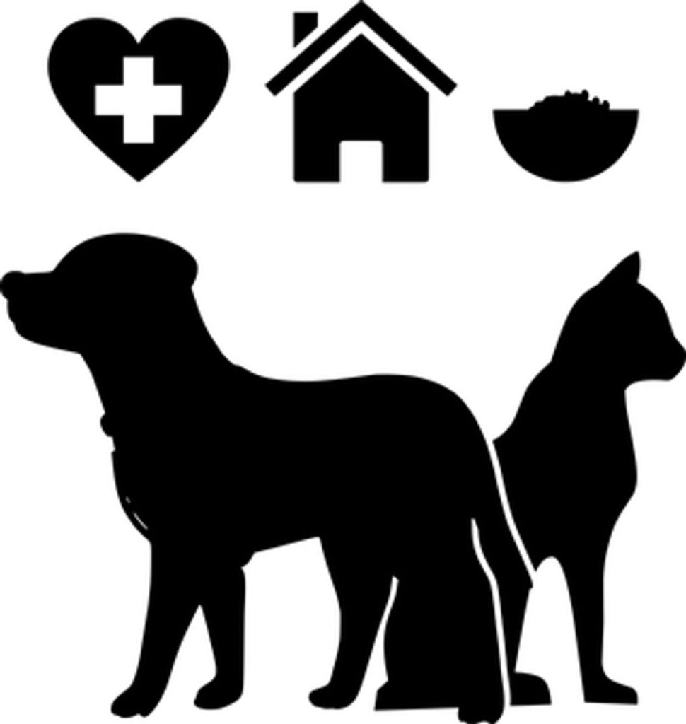 Purchased By Many Pet Insurance coverage Critiques 1 Bought By Many Pet Insurance Reviews