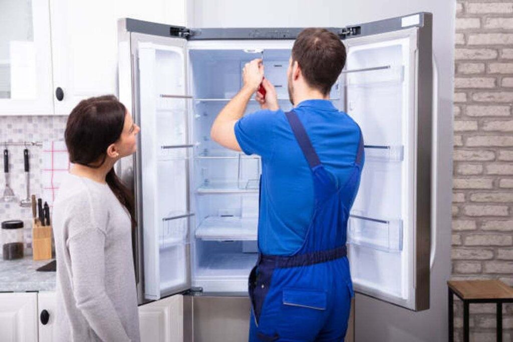 Samsung Fridge Issues - Learn how to Establish Them 1 samsung refrigerator problems