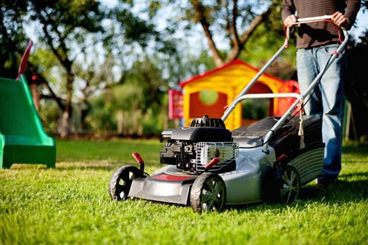 How to Take Care of Your Lawn