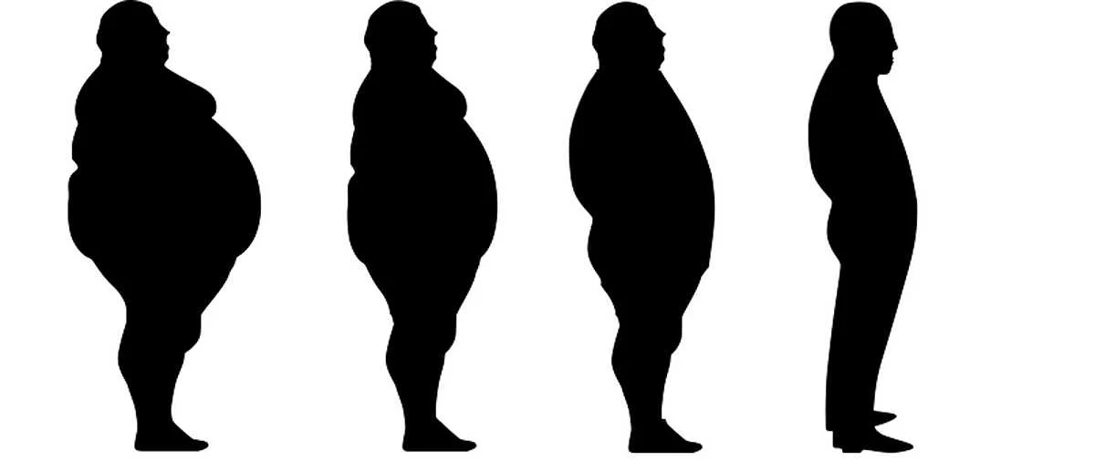 How to Lose Fat