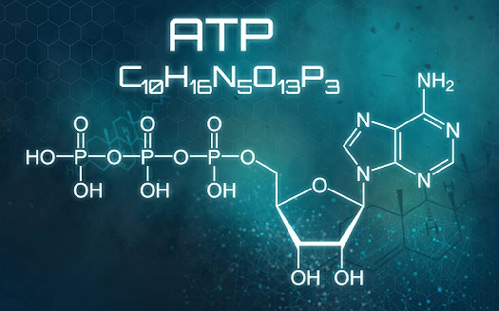 atp full form