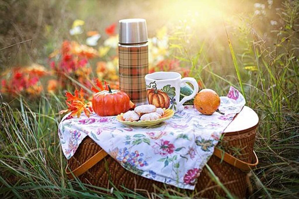 Corporation Picnics - How To Approach One 1 Company Picnics