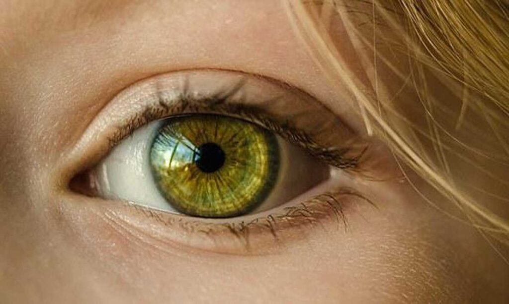 Dry out Eye Syndrome - How to locate Relief 1 Dry Eye Syndrome