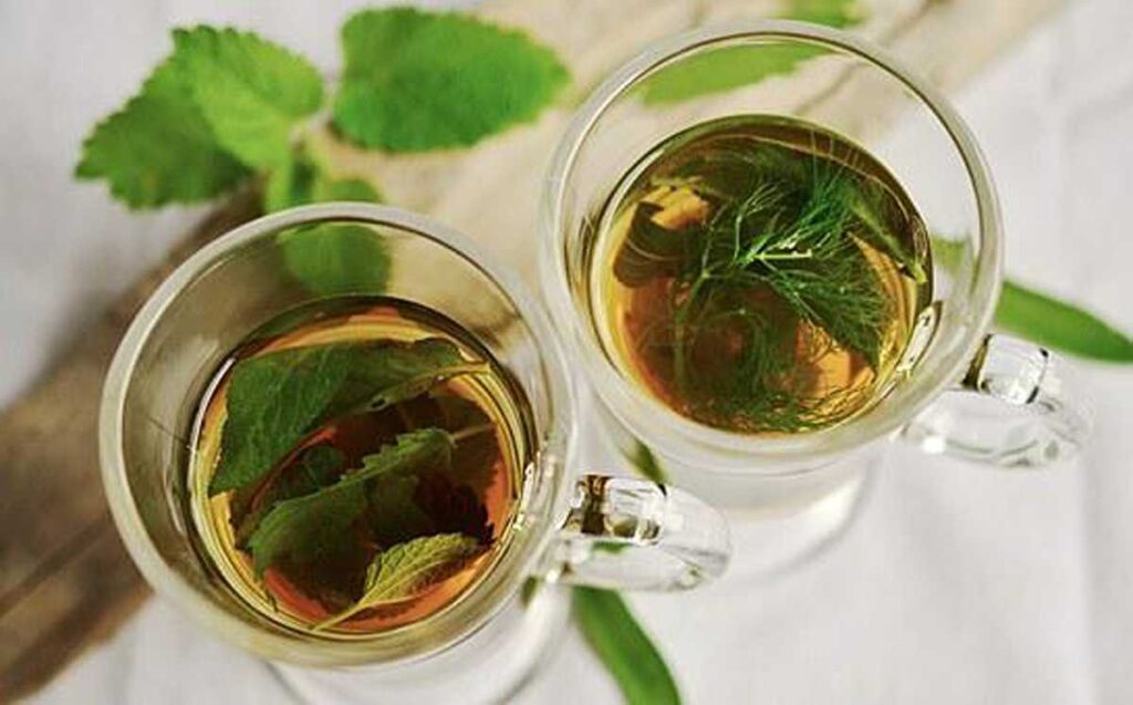 Tea leaf Basics 101 - How does one Choose tea leaf Type or Taste? 1 Tea Basics 101