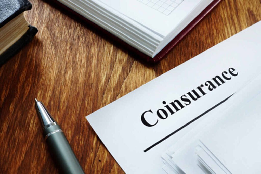 what is coinsurance
