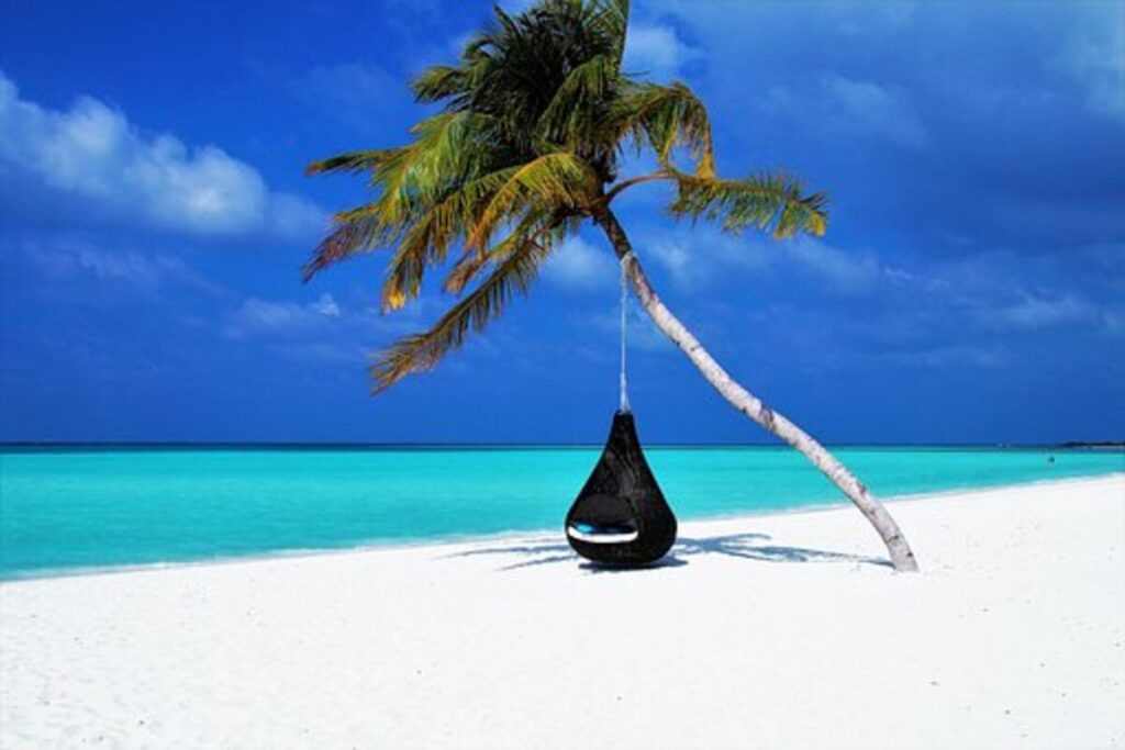 Gaura Travels Review