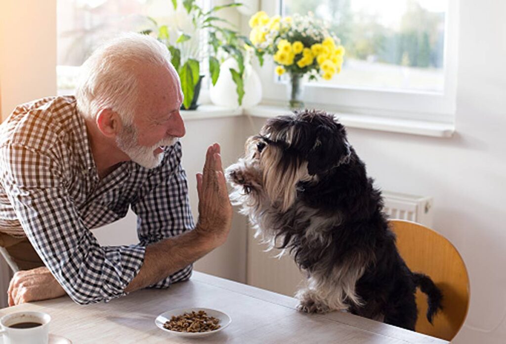 How Much Food Should I Give My Dog