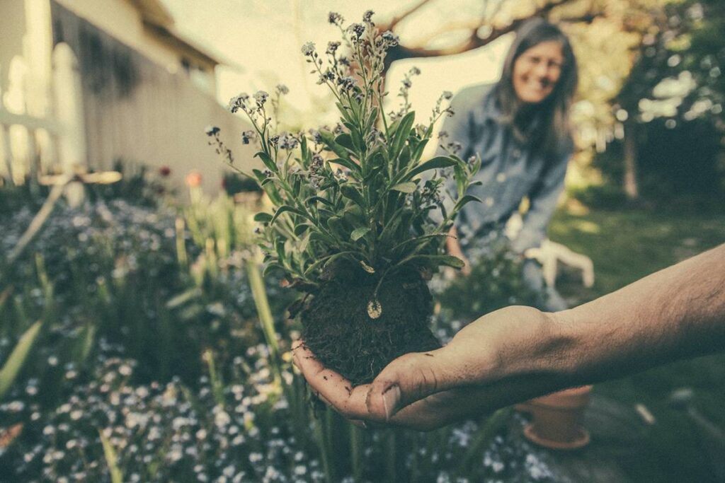 How you can Manage an Ecological Garden 1 How to Manage an Ecological Garden