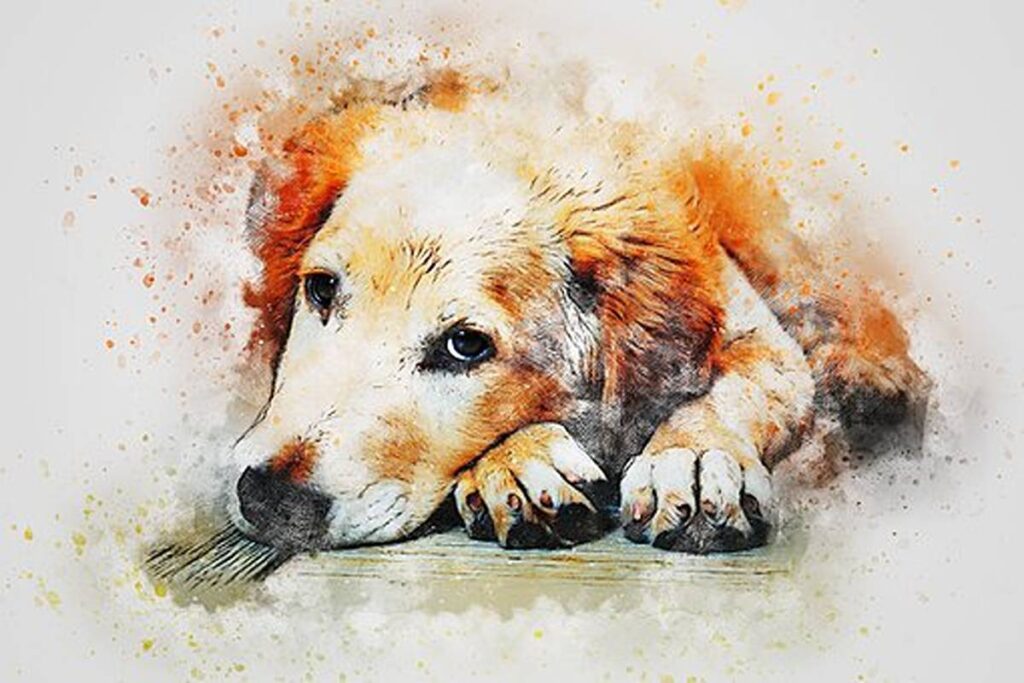 The best way to Select a Pet Portrait Artist 1 How to Select a Pet Portrait Artist