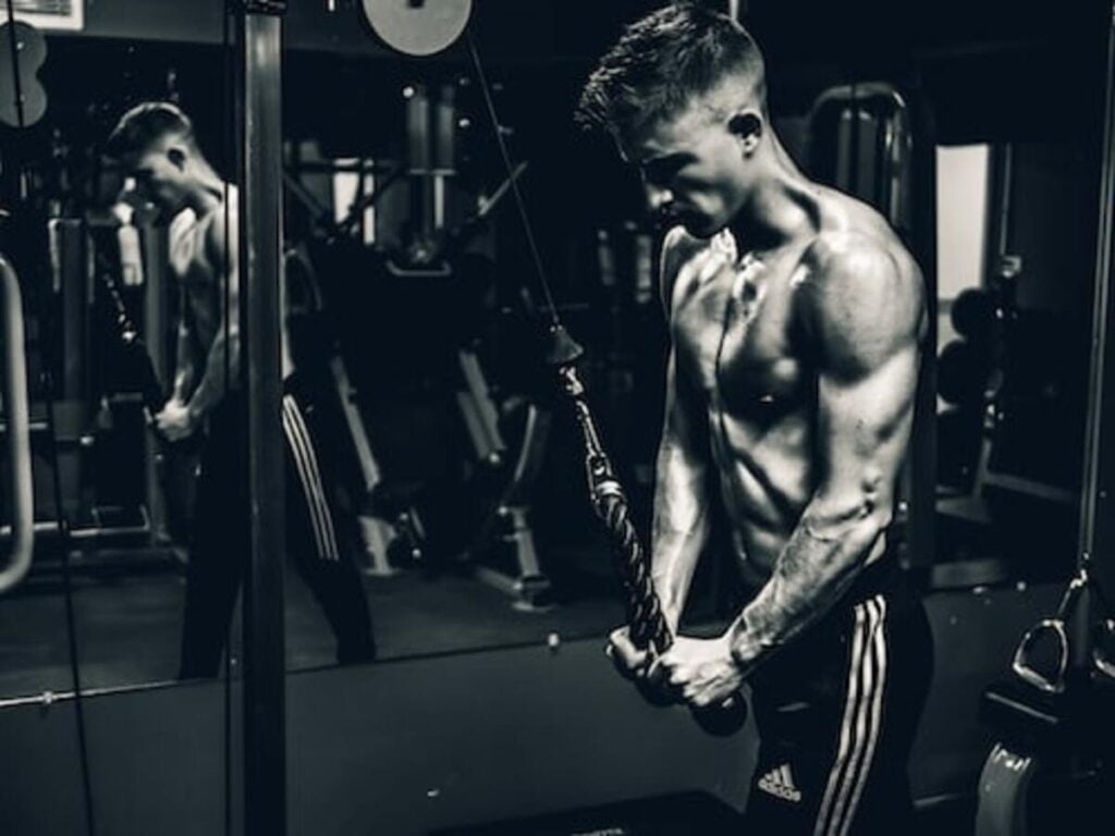 Oyo Personal Gym and Nova Gym Review 1 Nova Gym Review