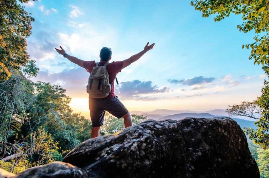 Pack Up And Go Reviews Tripadvisor
